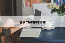 笆焦二区的简单介绍